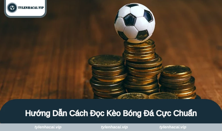 cach doc keo bong da 2 Hướng dẫn cách đọc kèo châu Á chuẩn và hiệu quả