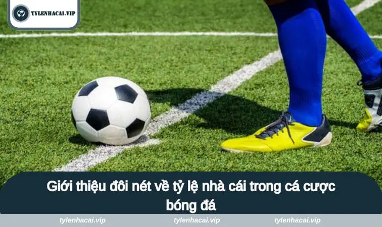 gioi thieu 2 Giới thiệu đôi nét về tỷ lệ nhà cái trong cá cược bóng đá