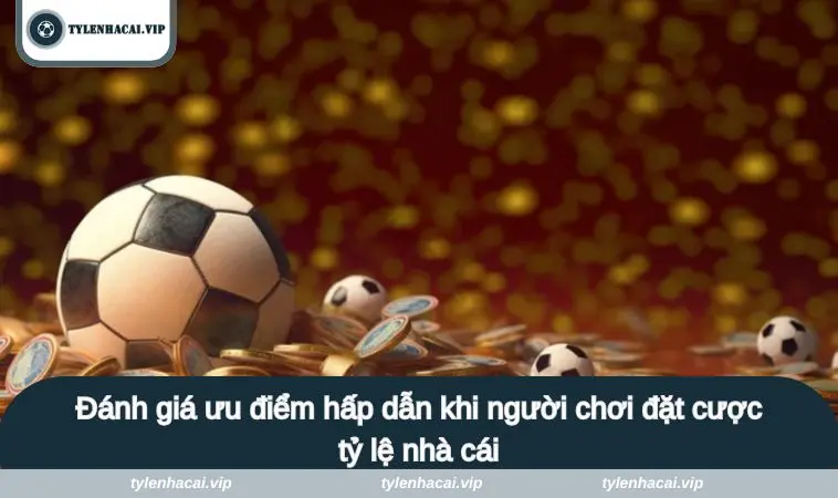 gioi thieu 3 Đánh giá ưu điểm hấp dẫn khi người chơi đặt cược tỷ lệ nhà cái