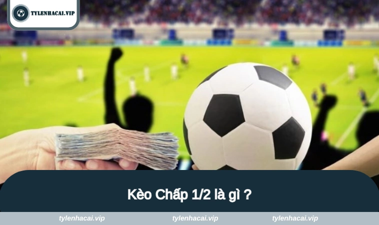 keo chap 1 2 1 Khái quát cơ bản về kèo chấp 1/2 cho tất cả hội viên nắm bắt