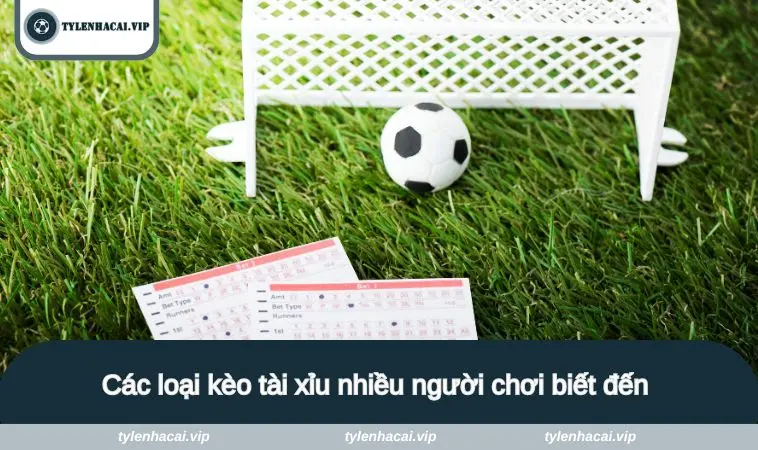 keo tai xiu 2 Các loại kèo tài xỉu nhiều người chơi biết đến