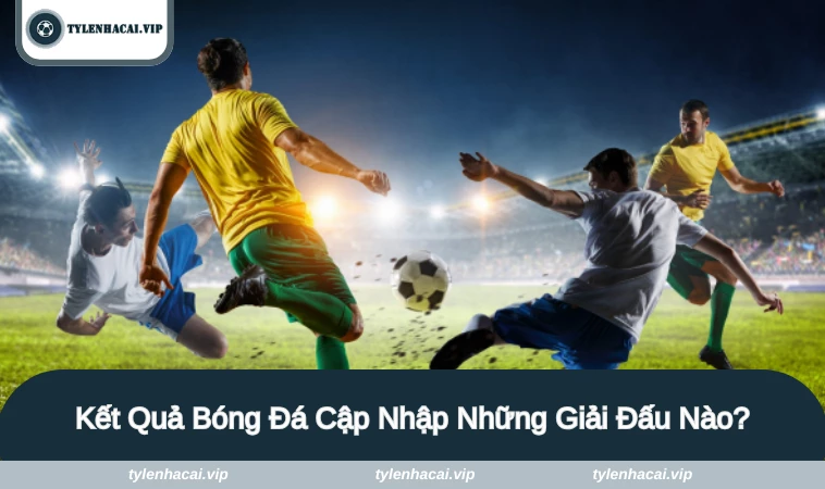 ket qua bong da 3 Những giải đấu lớn nhỏ được cập nhập liên tục