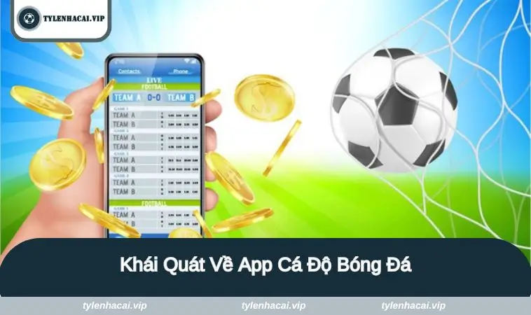 khai quat ve app ca do Khái quát về ứng dụng cá độ