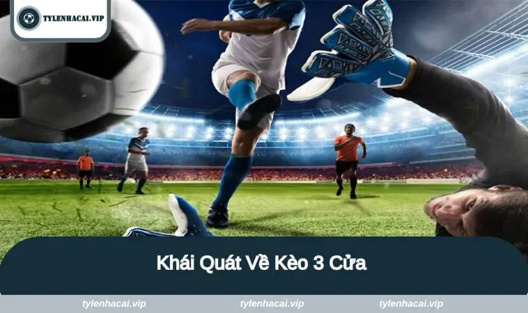 khai quat ve keo 3 cua Khái quát về loại hình này
