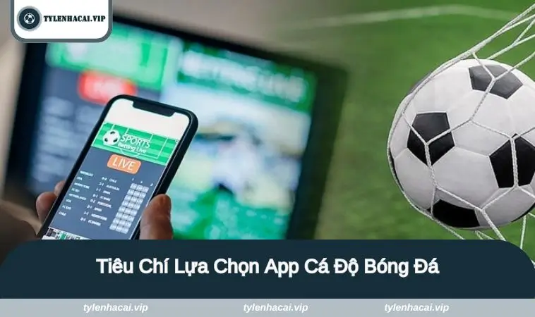 tieu chi lua chon app Tiêu chí để lựa chọn App
