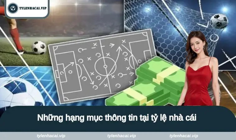 ty le nha cai 2 Những hạng mục thông tin tại tỷ lệ nhà cái