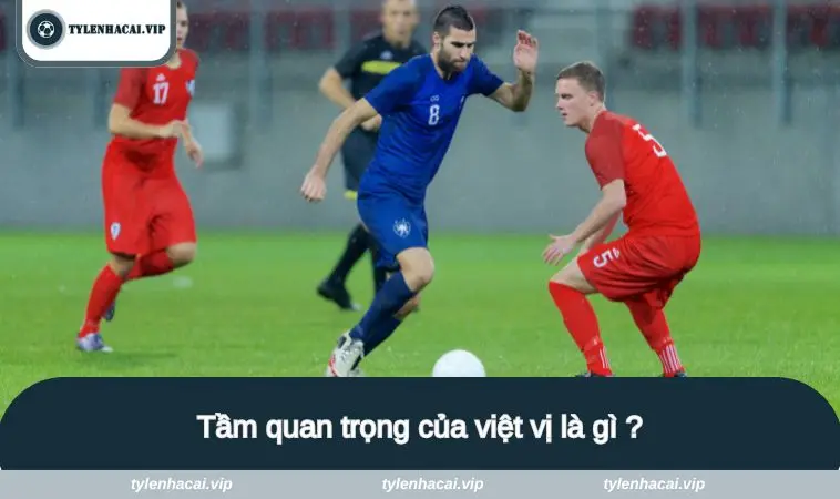 viet vi la gi 3 Tầm quan trọng của việt vị là gì ?