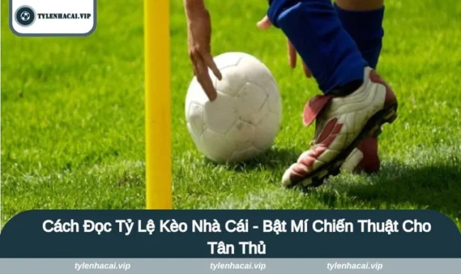 Cách Đọc Tỷ Lệ Kèo Nhà Cái