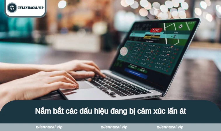 cach quan ly cam xuc khi choi ca do 3 Nắm bắt các dấu hiệu đang bị cảm xúc lấn át