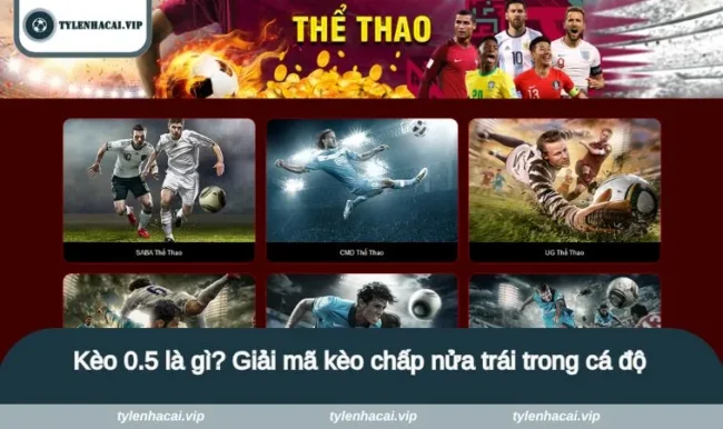 kèo 0.5 là gì