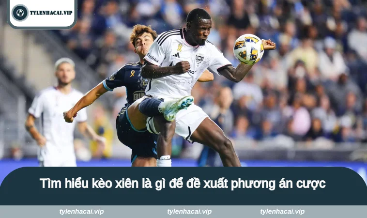 keo xien la gi 2 Tìm hiểu kèo xiên là gì để đề xuất phương án cược