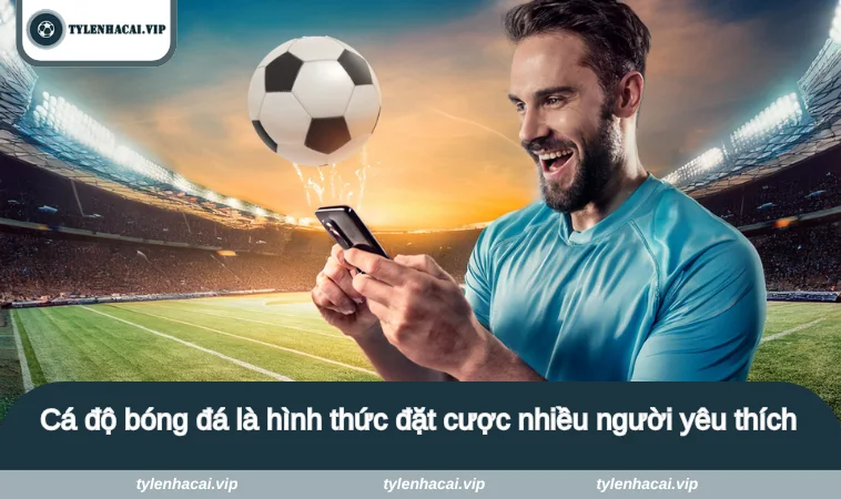 tai sao ca do bong da luon thua 2 Cá độ bóng đá là hình thức đặt cược nhiều người yêu thích