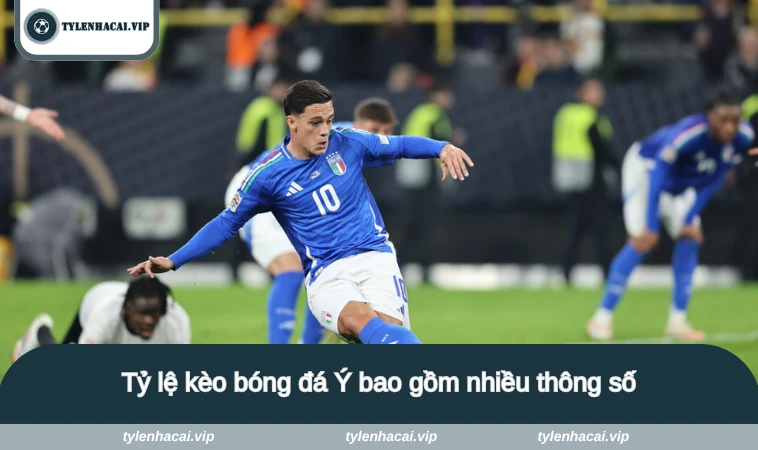 ty le keo bong da y 2 Tỷ lệ kèo bóng đá Ý bao gồm nhiều thông số