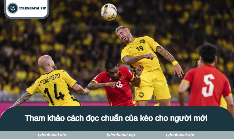 ty le keo malaysia 3 Tham khảo cách đọc chuẩn của kèo cho người mới