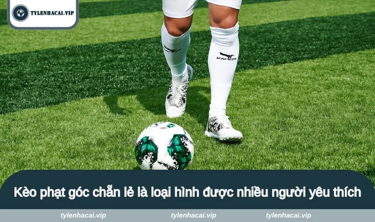 ty le keo nha cai phat goc 2 Kèo phạt góc chẵn lẻ là loại hình được nhiều người yêu thích