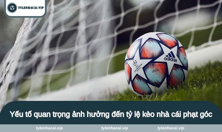 ty le keo nha cai phat goc 3 Yếu tố quan trọng ảnh hưởng đến tỷ lệ kèo nhà cái phạt góc