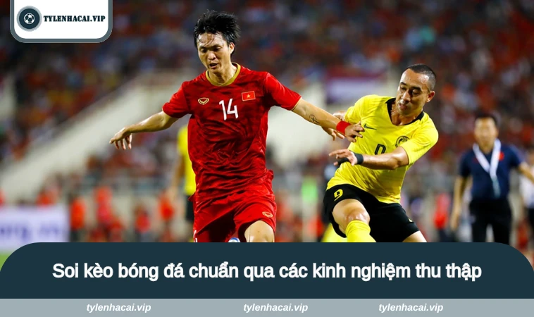 ty le keo nha cai viet nam 4 Soi kèo bóng đá chuẩn qua các kinh nghiệm thu thập